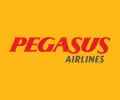 Pegasus